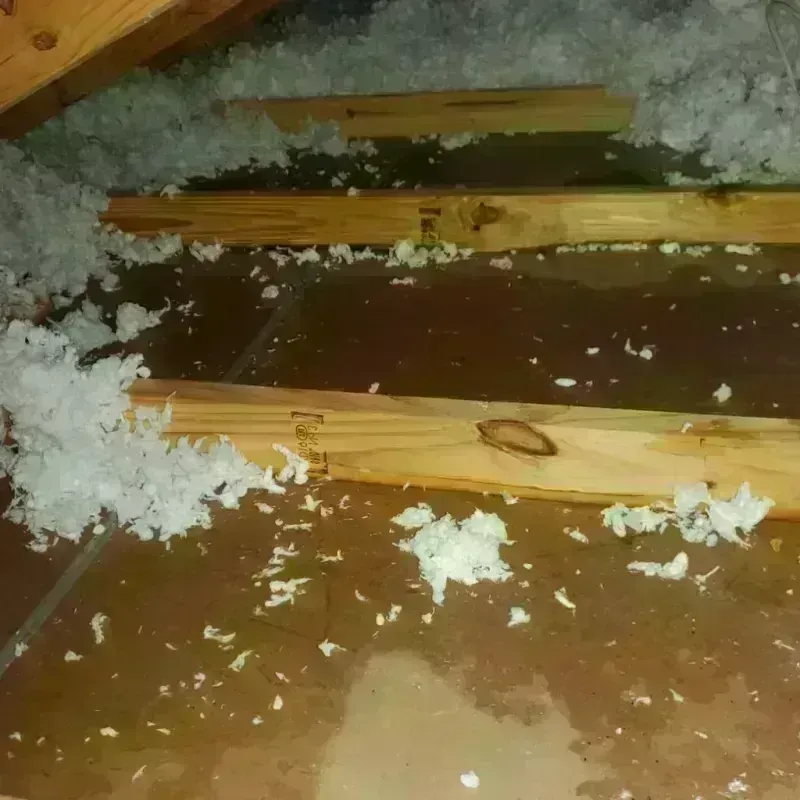 Attic Water Damage in Elm City, NC