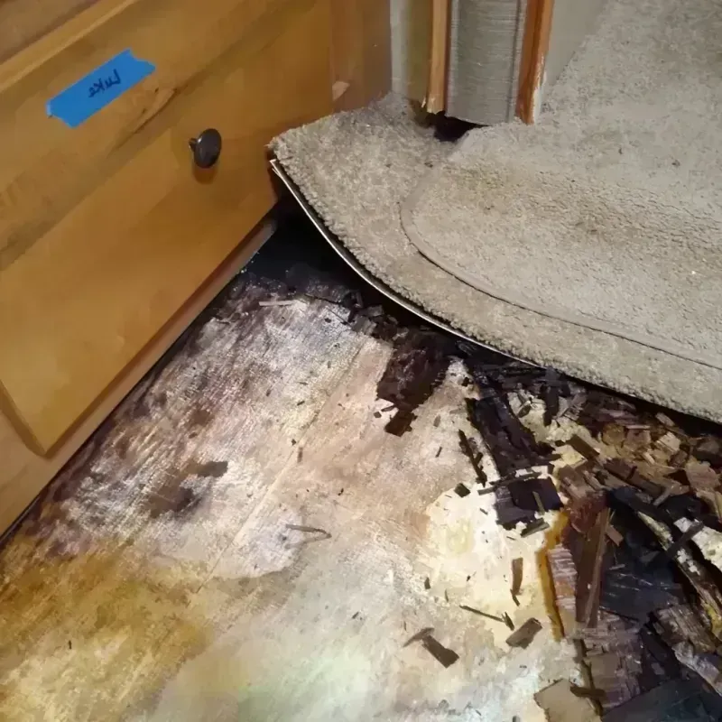 Wood Floor Water Damage in Elm City, NC